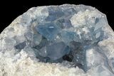 Sky Blue Celestine (Celestite) Geode ( lbs) - Madagascar #182366-1